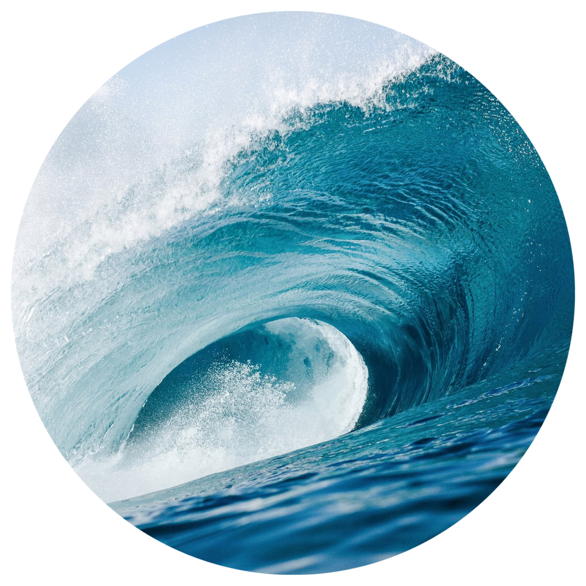 Aquatic