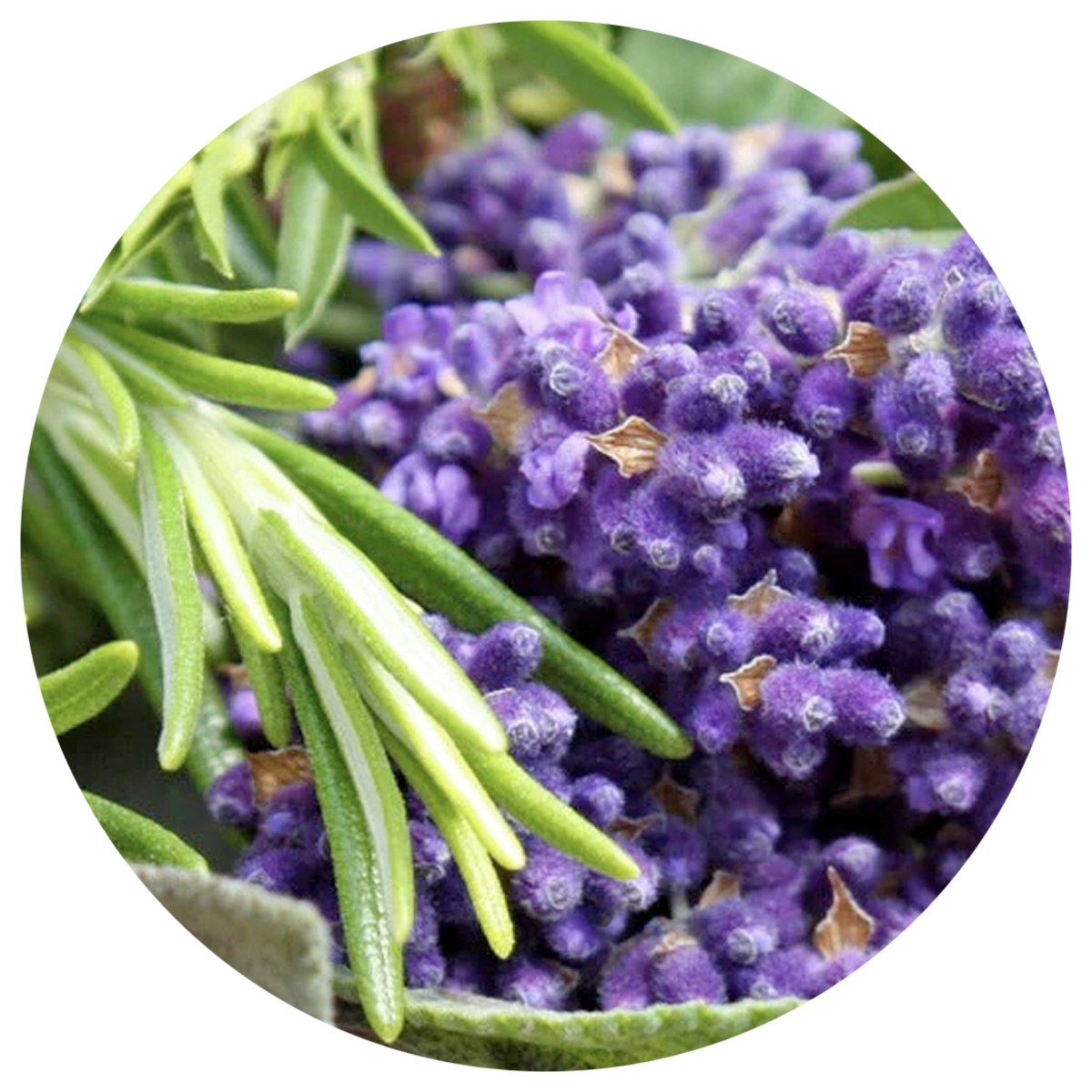 Aromatic