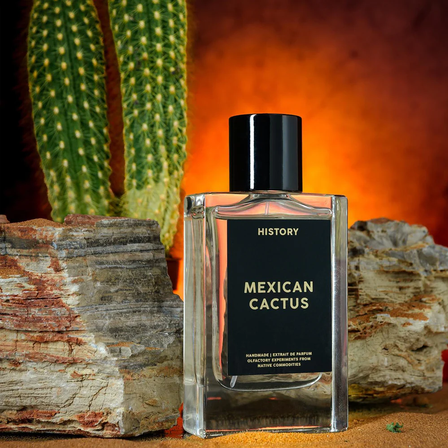 Mexican Cactus
