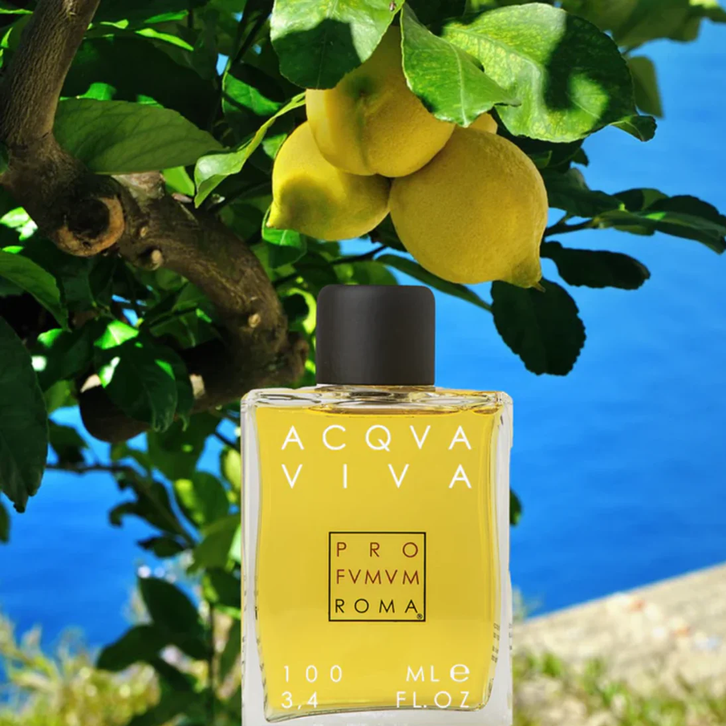 Acqua Viva