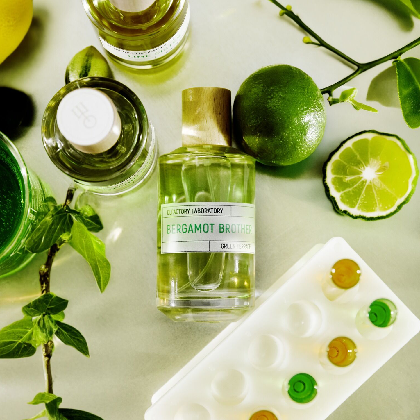 Bergamot Brother