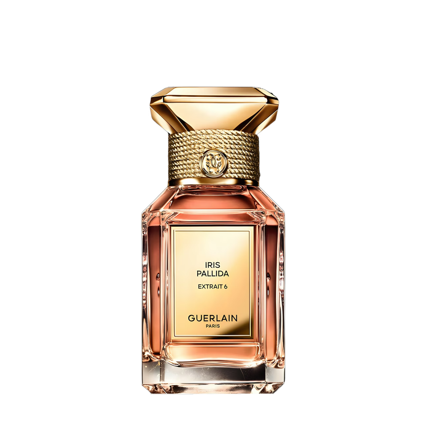 Iris Pallida Extrait 6