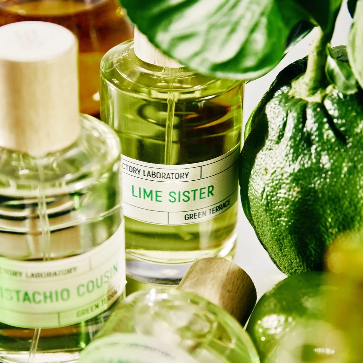 Lime Sister