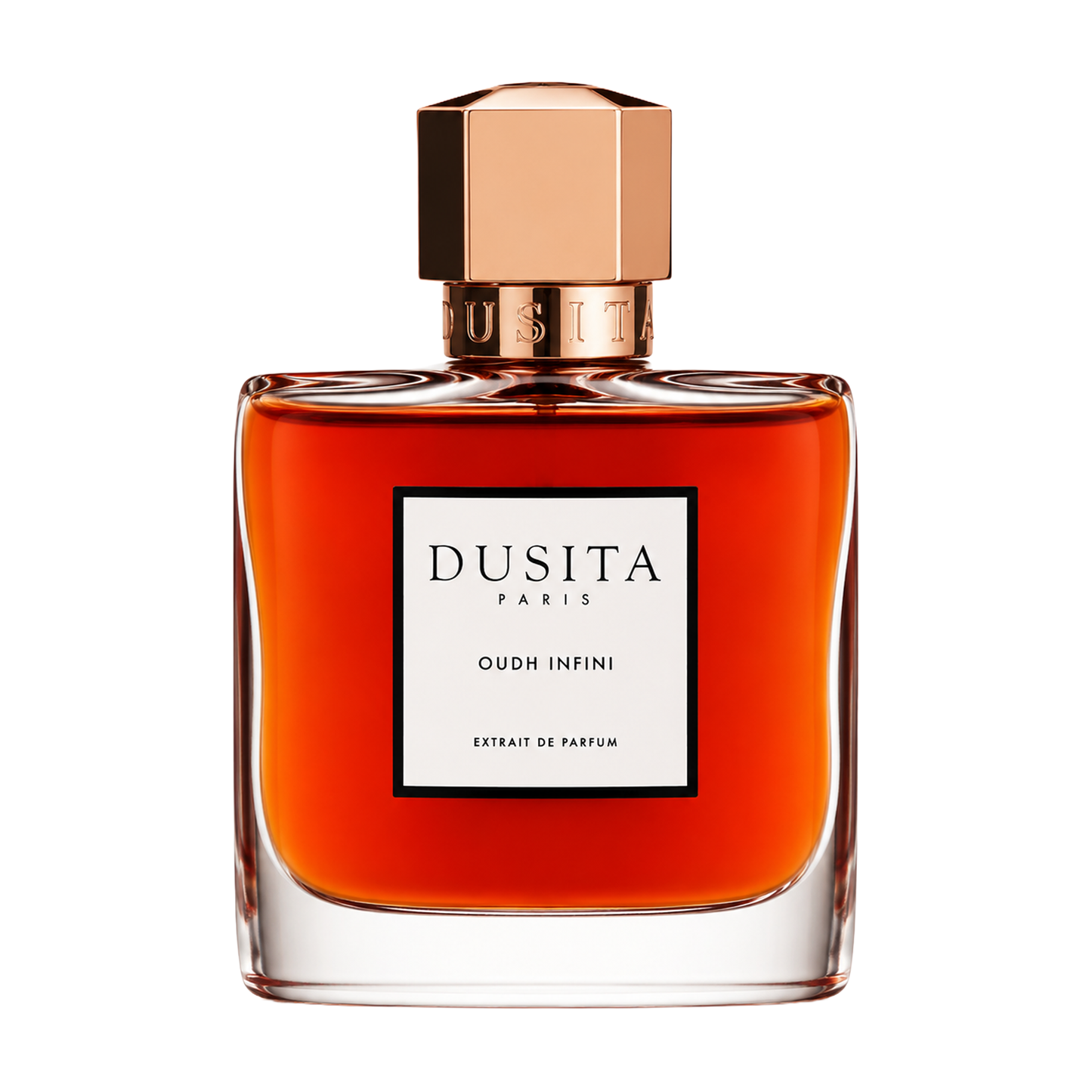 Oudh Infini