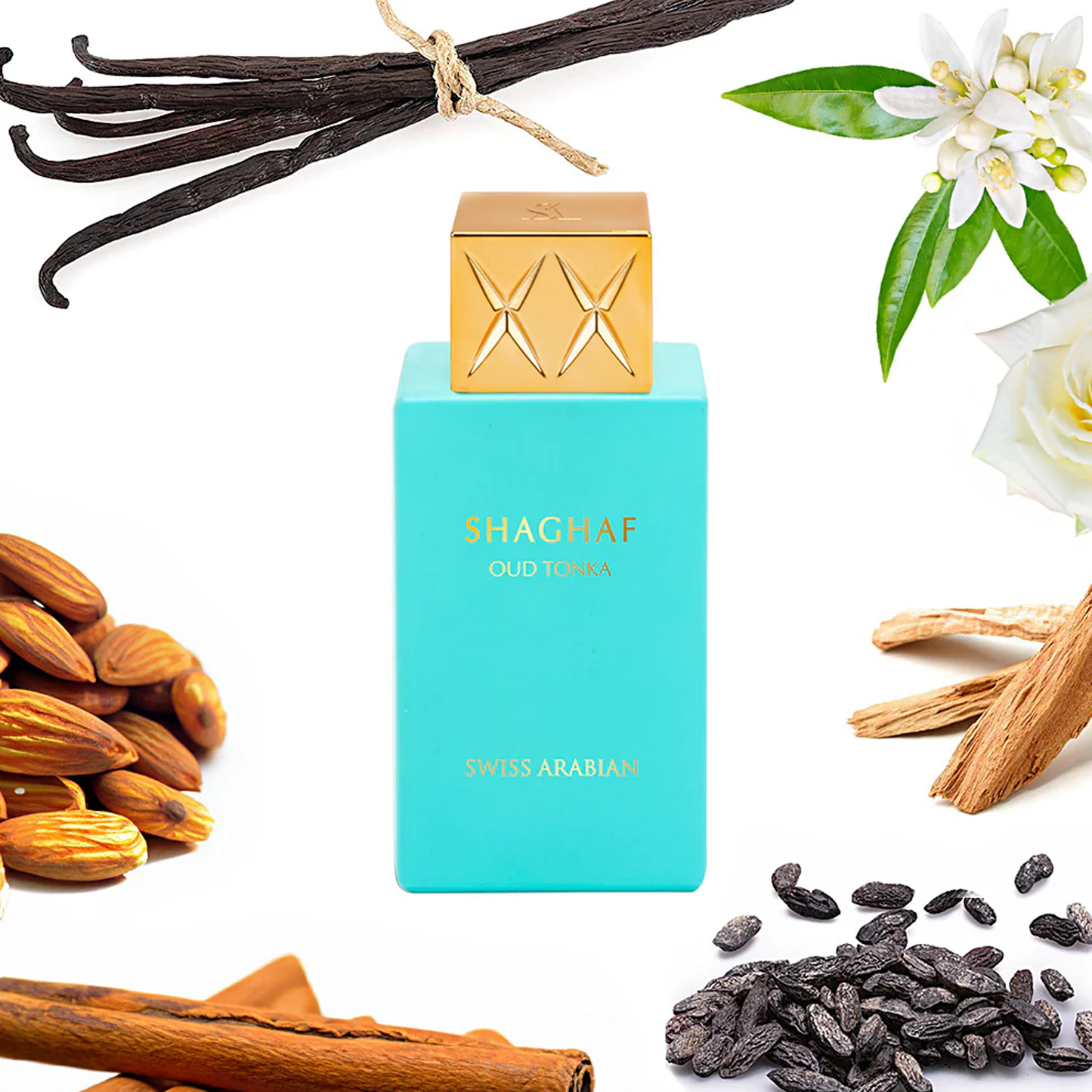 Shaghaf Oud Tonka