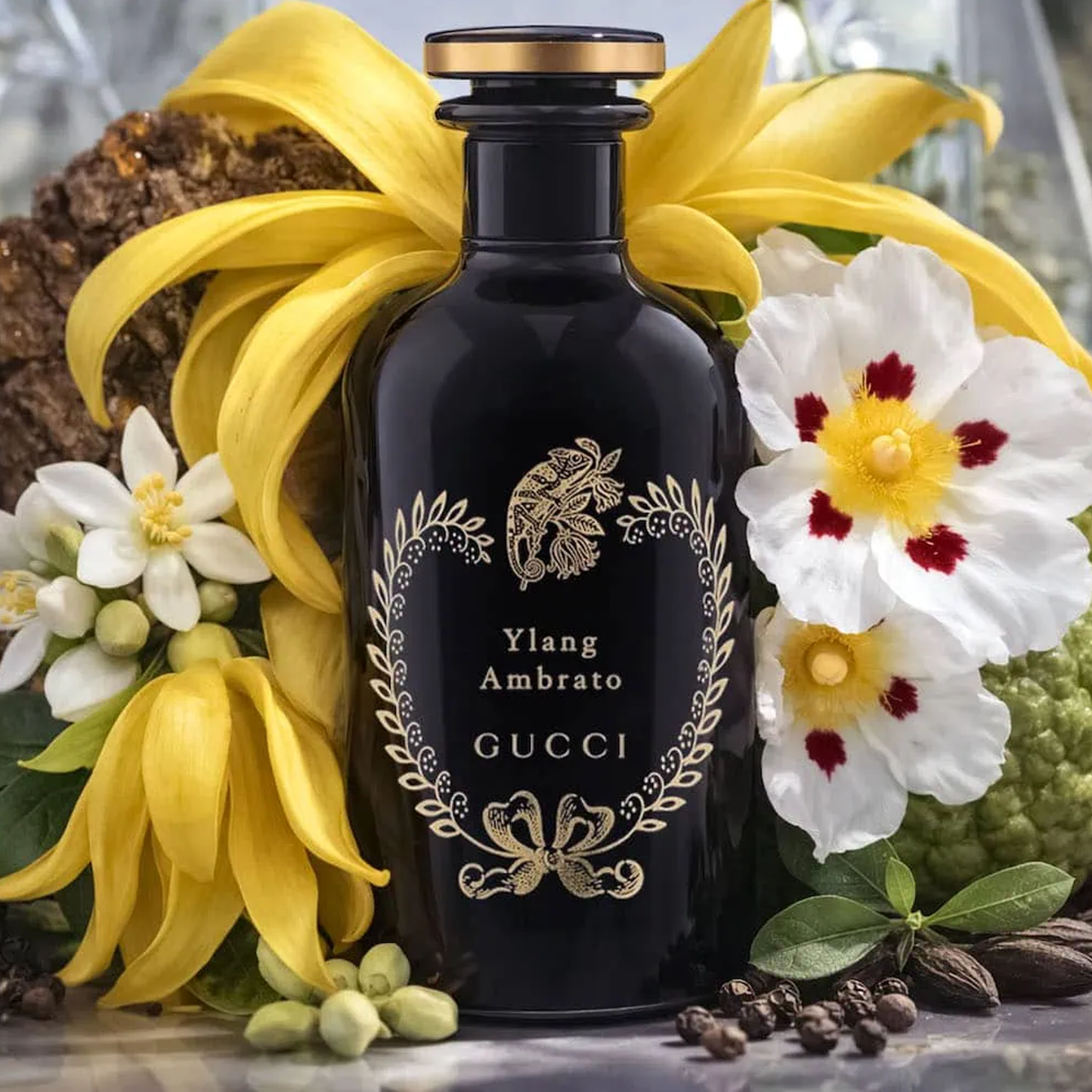Ylang Ambrato