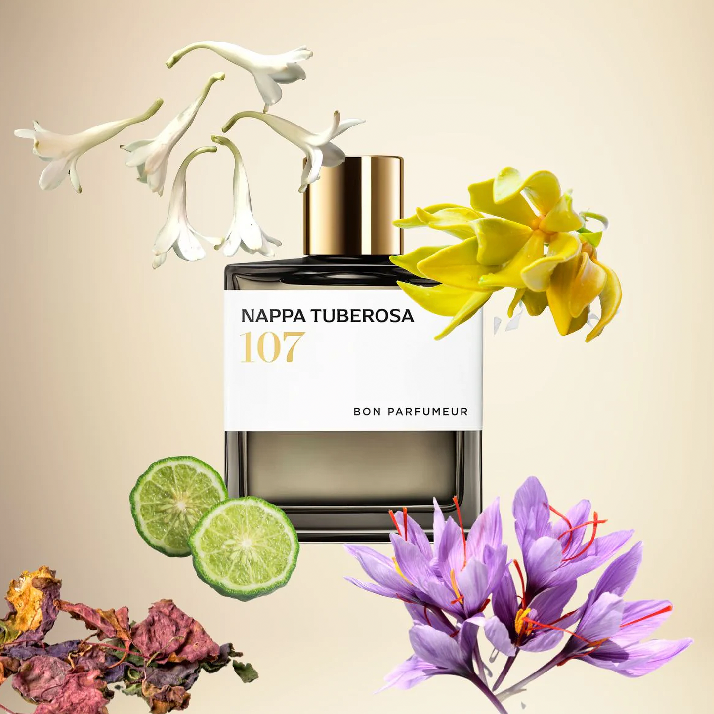 107 Nappa Tuberosa