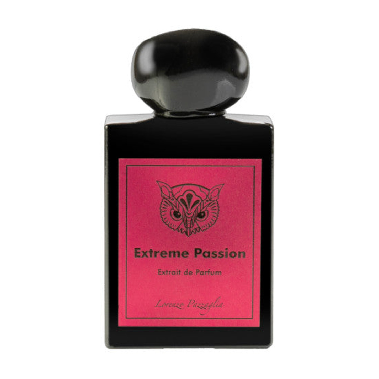 Extreme Passion