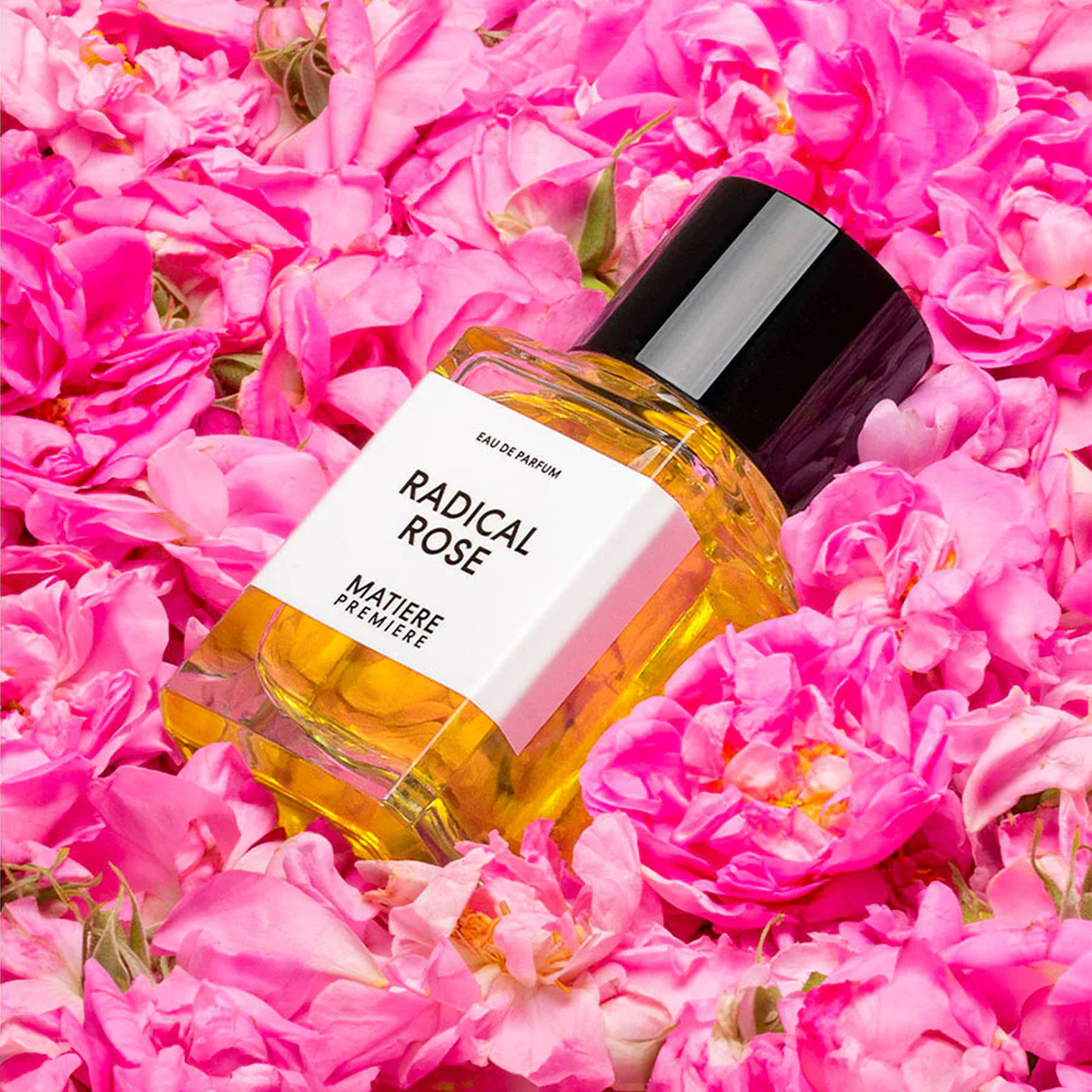 Radical Rose