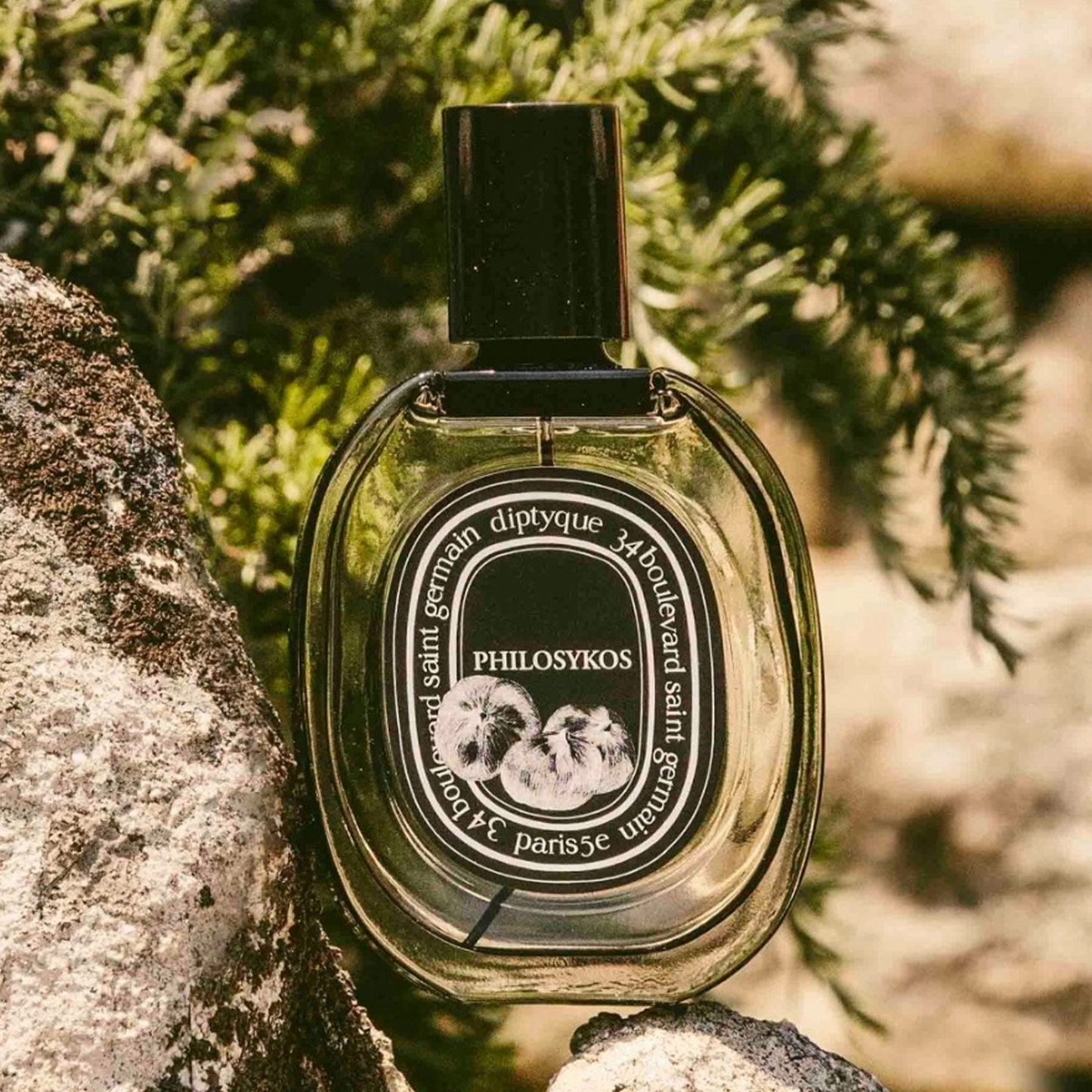 Philosykos Eau de Parfum