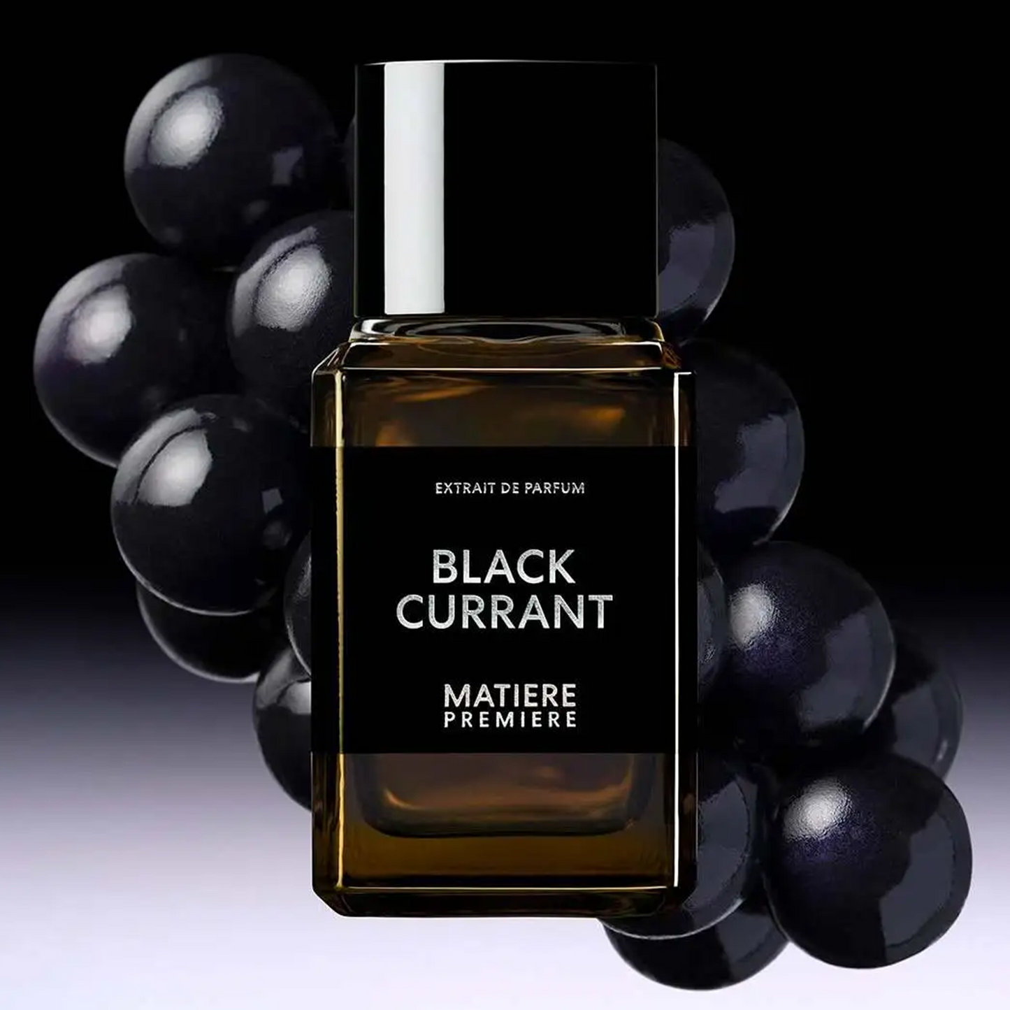 Black Currant