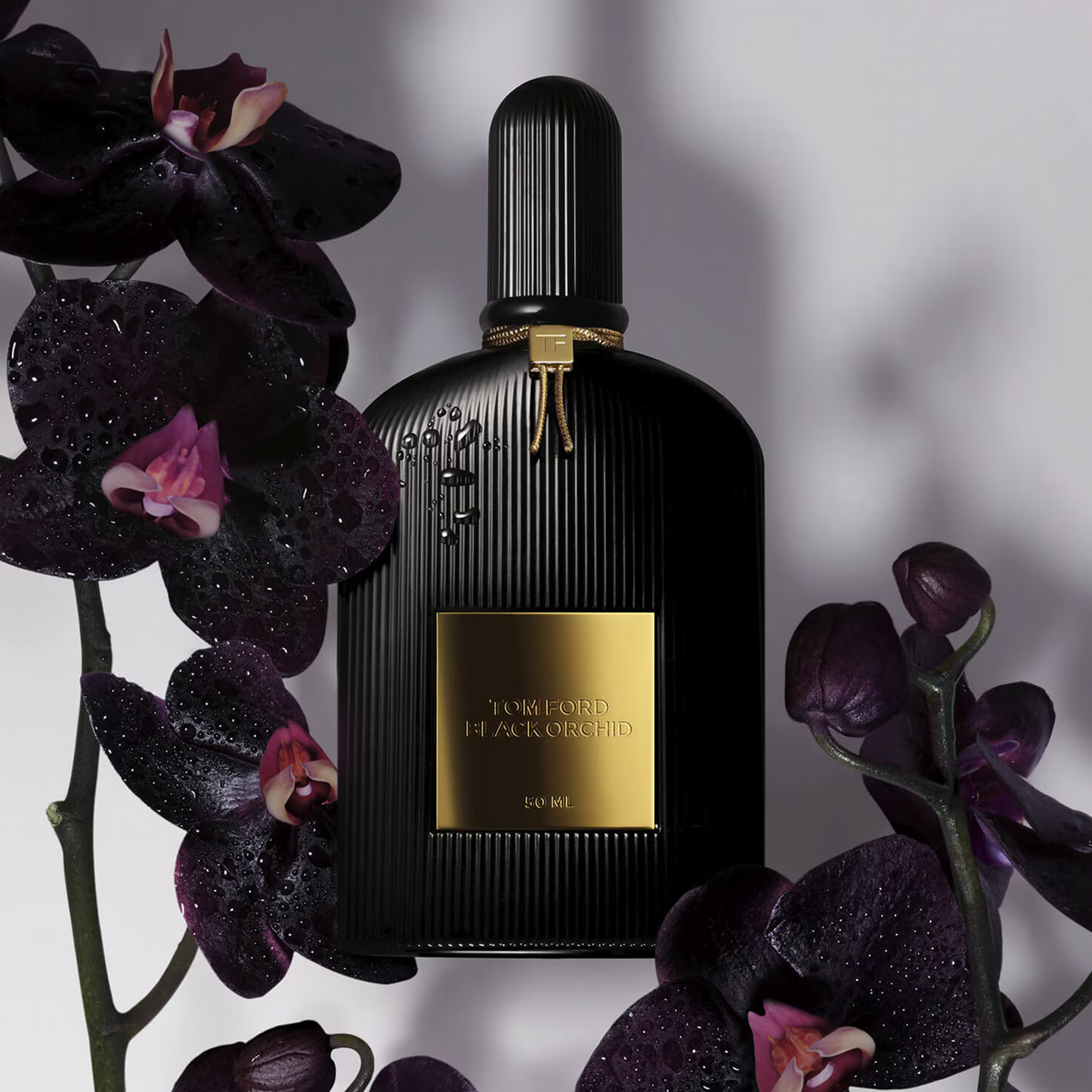 Black Orchid