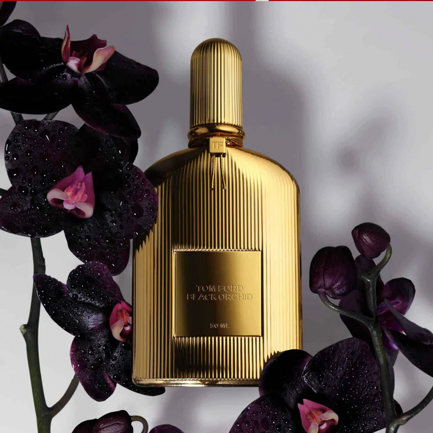 Black Orchid Parfum