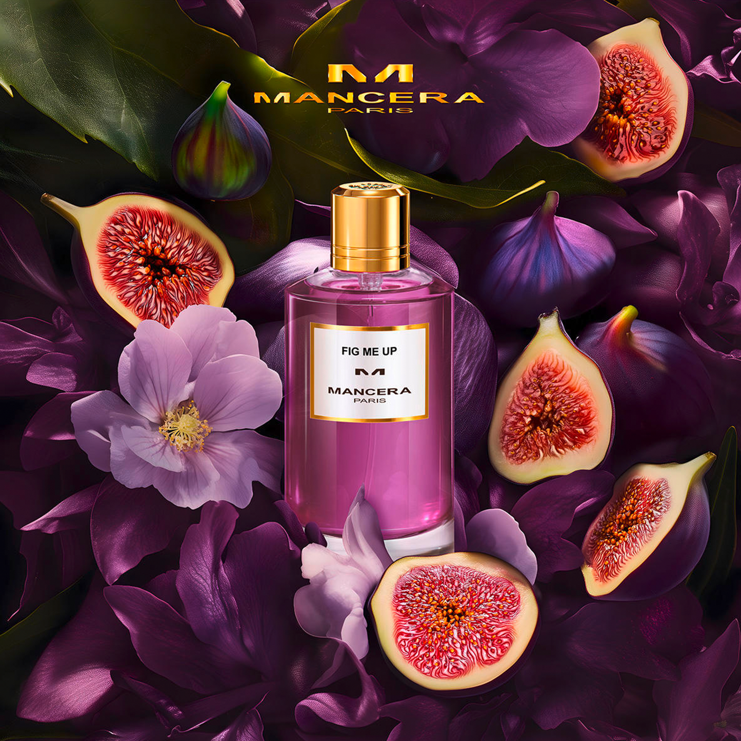 Fig Me Up