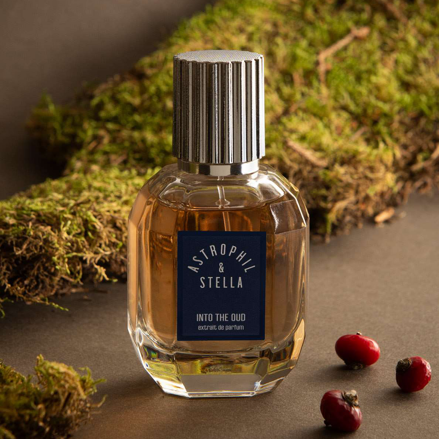Into The Oud