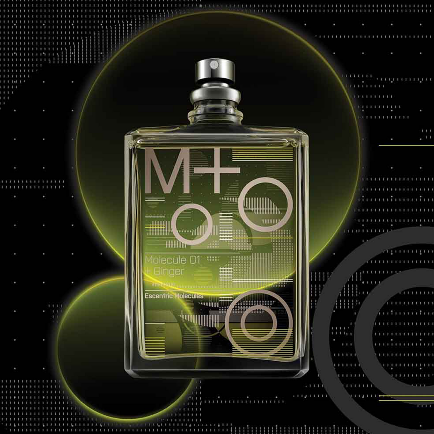 Molecule 01 + Ginger