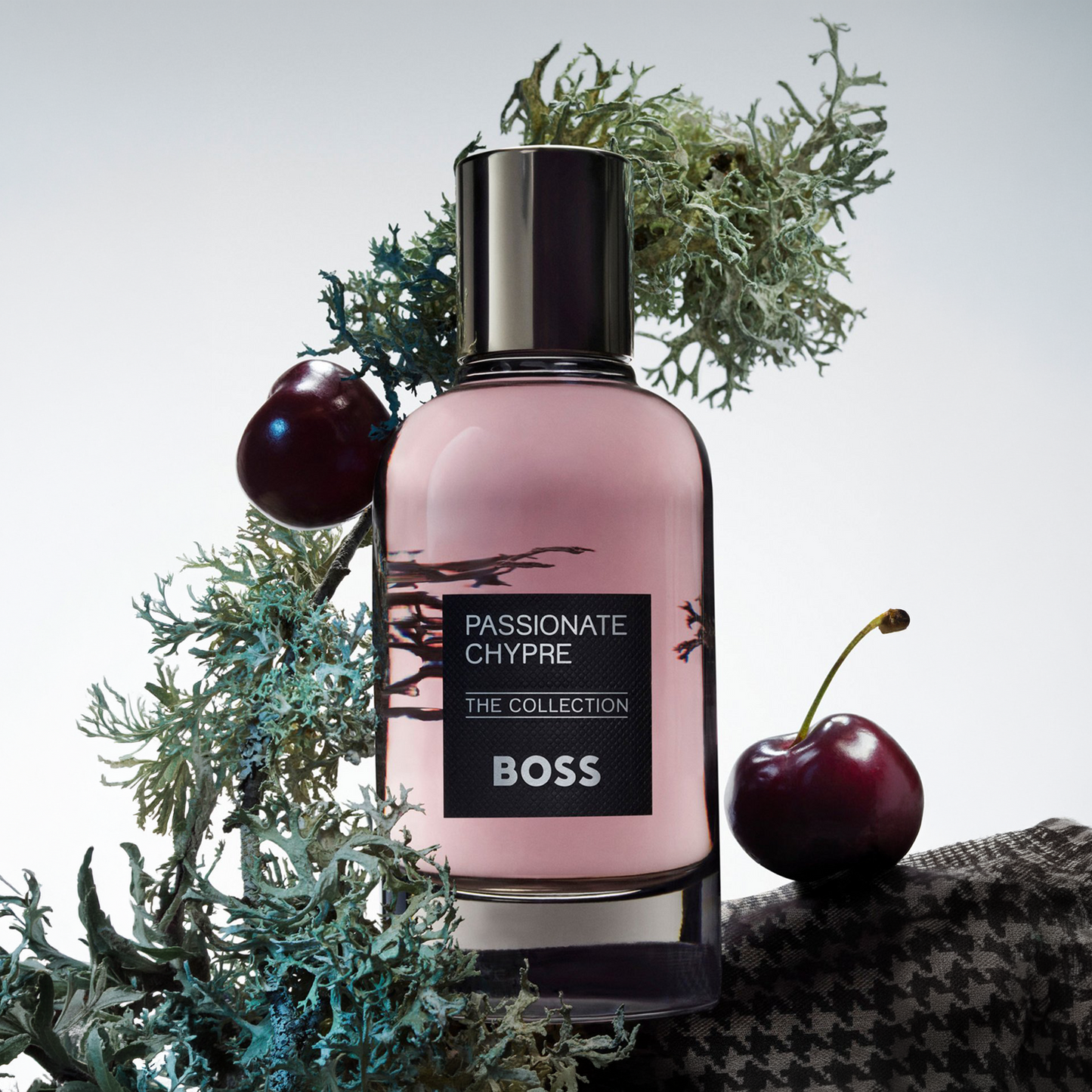 The Collection Passionate Chypre